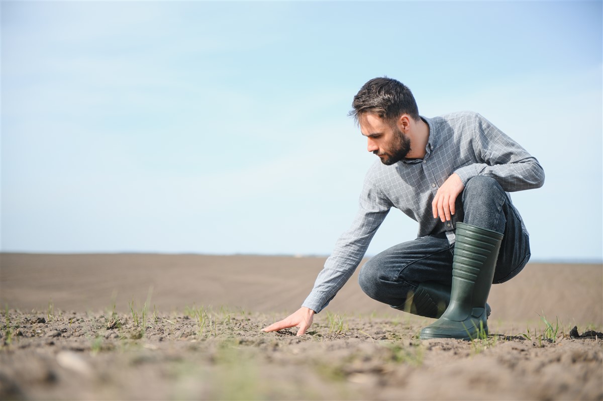 Récupérer un terrain loué